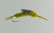 NEPTUNE MOUCHE NYMPHE OLIVE STONEFLY image 0