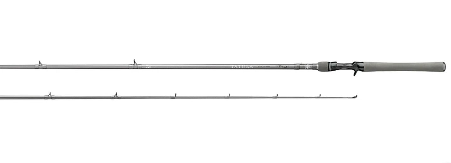 DAIWA CANNE LANCER LOURD - TATULA ELITE image 0