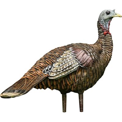 AVIAN-X APPELANT LOOKOUT HEN image 0