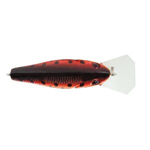 POISSON NAGEUR PRIMETYME CB 1.5 DE LIVINGSTON image 2