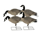 GHG DECOYS PRO GRADE X-D SERIES APPELANTS BERNACHES SUR PIED image 0