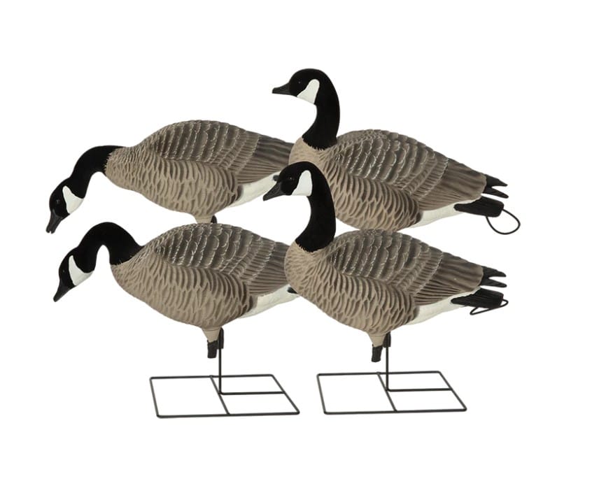 GHG DECOYS PRO GRADE X-D SERIES APPELANTS BERNACHES SUR PIED image 0