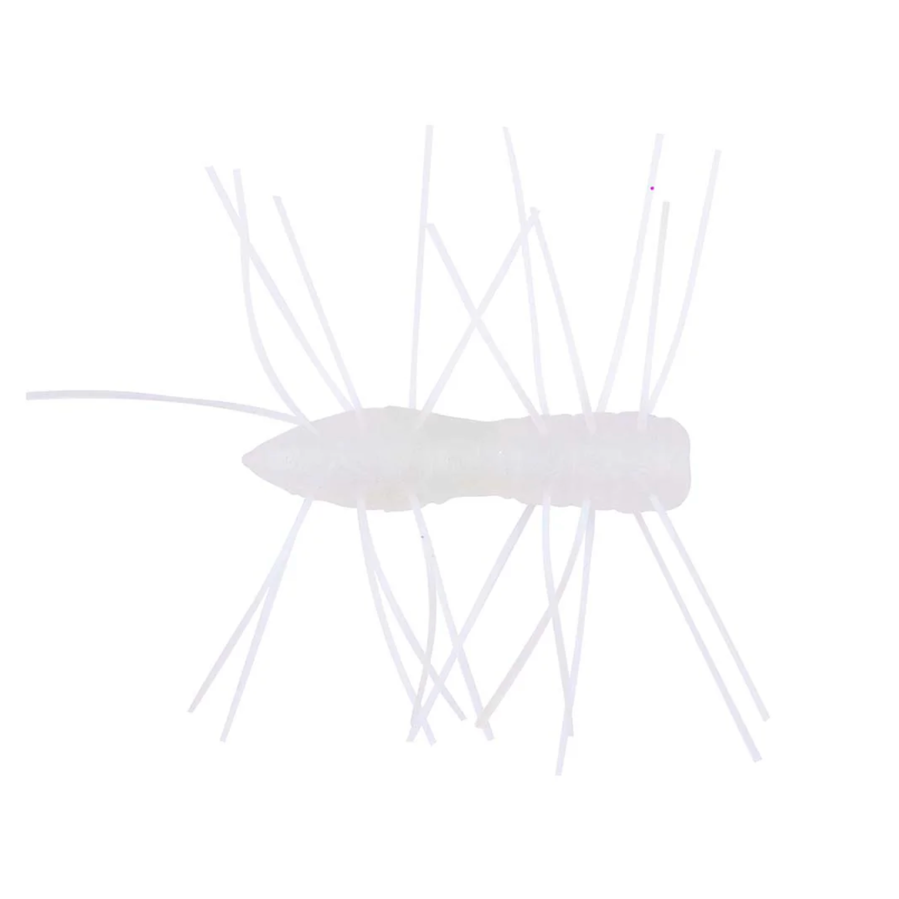 ZMAN LEURRE FUZZY BUGZ 1.75 PO PQT 4 - GLIMMER BLUE image