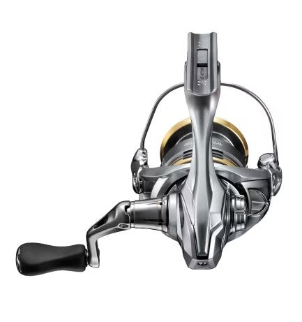 SHIMANO SEDONA FJ MOULINET LANCER LÉGER image 2