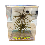 BIG LUNKS ELASTOMER URCHIN-STYLE LURE 10 MM